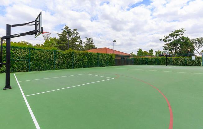 a green ball on a court with a racket