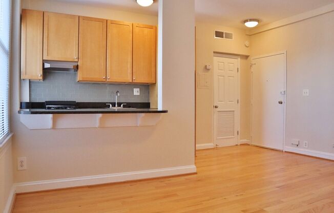 Studio, 1 bath, 407 sqft, $2,125, Unit H816