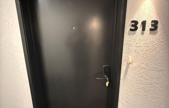Studio, 1 bath, 328 sqft, $1,095, Unit 313