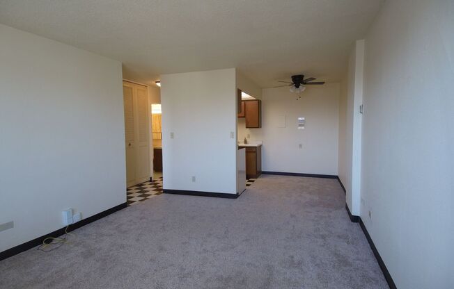 1 bed, 1 bath, 620 sqft, $1,090, Unit 507