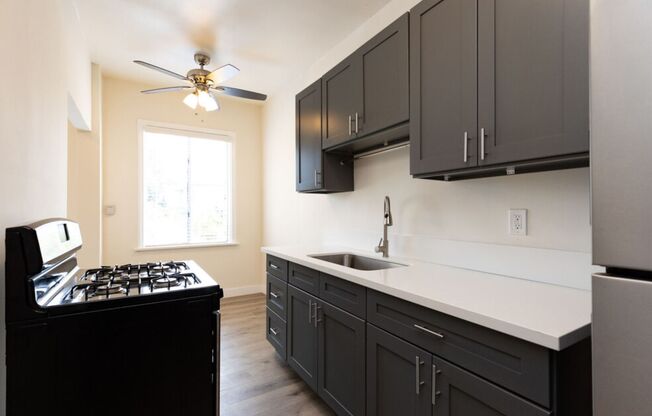 1 bed, 1 bath, 550 sqft, $1,550, Unit 307