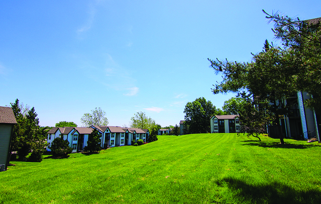 Large Courtyards and Open Outdoors