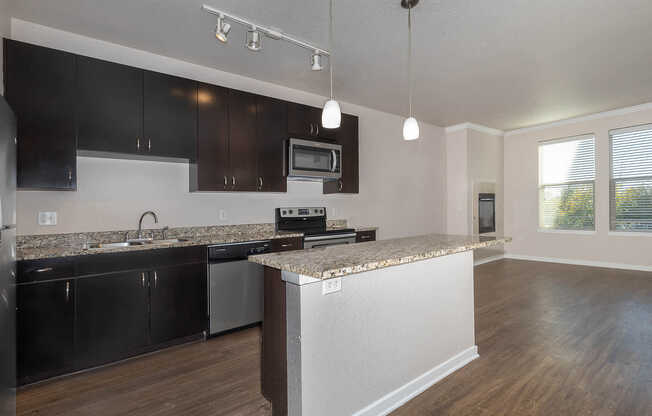 Kitchen and Living Area with Hard Surface Flooring