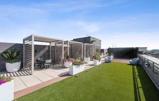 a roof top terrace with a lawn and potted plants