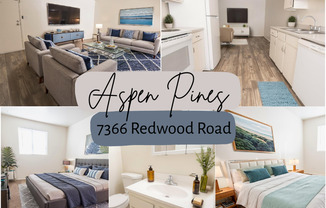 Aspen Pines
