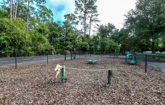 Dog Park  at Reserve Bartram Springs, Florida