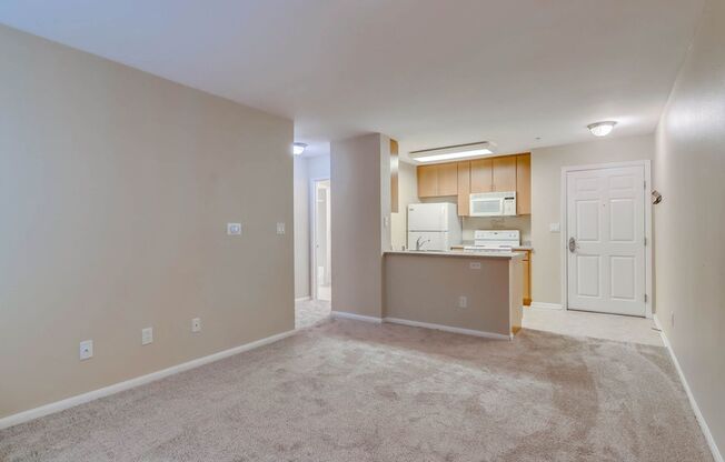 Charming Condo in Little Italy!