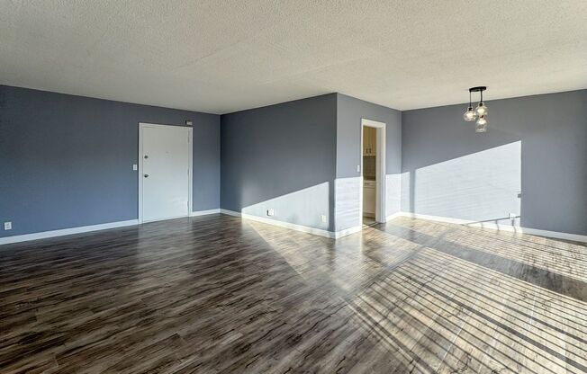1138 Euclid St.