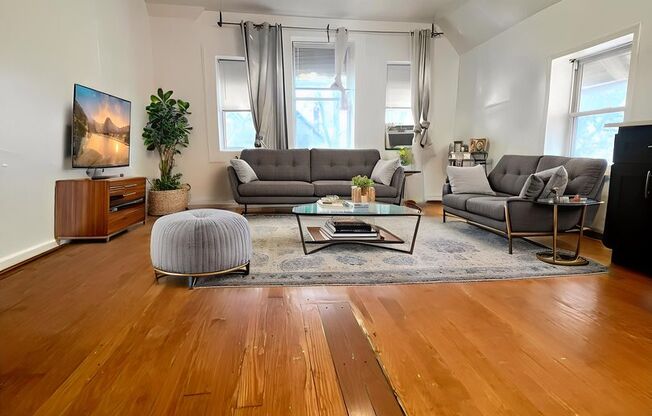 Saint Bernard St S 807