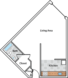 Studio, 1 bath, $1,225