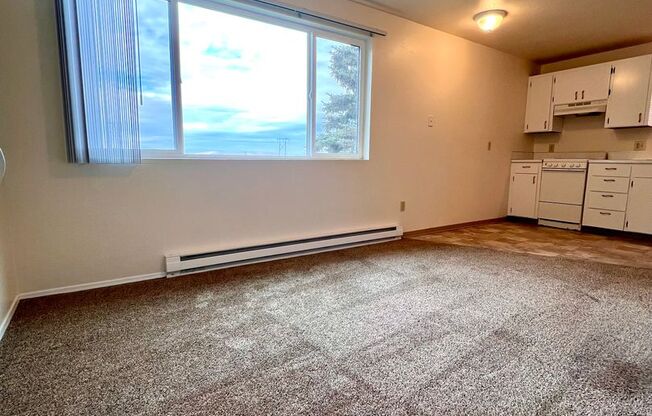 1 bed, 1 bath, 483 sqft, $875, Unit 4