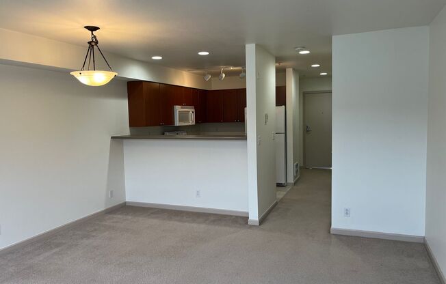 Studio, 1 bath, $1,495, Unit 305