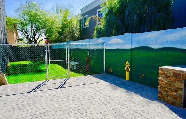 Urban Oasis