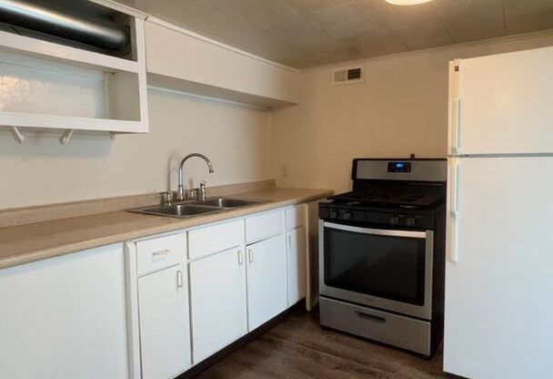 1 bed, 1 bath, 550 sqft, $525