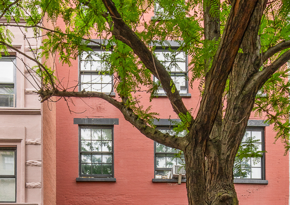 51 W 11 ST