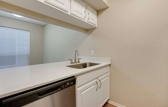 Kitchen Sink at Copper Hill, Texas, 76021