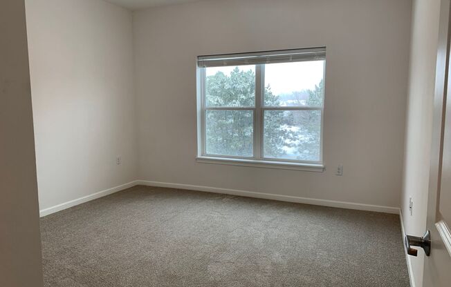 1 bed, 1 bath, 738 sqft, $1,175, Unit 233
