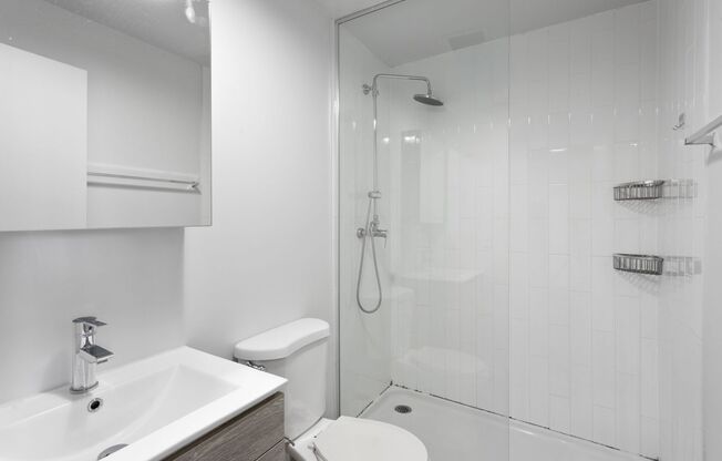 Studio, 1 bath, 221 sqft, $1,650, Unit 1009
