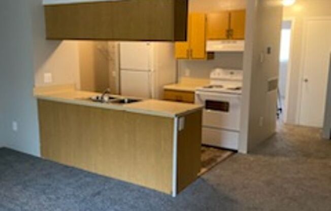 1 bed, 1 bath, 636 sqft, $710, Unit 507-111