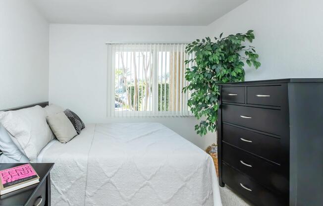 A cozy bedroom featuring a neatly made bed with a white quilt, a black dresser with multiple drawers, and a potted plant. Natural light streams in through a window with vertical blinds, illuminating the space. A pink book lies on the bedside table, adding a splash of color.