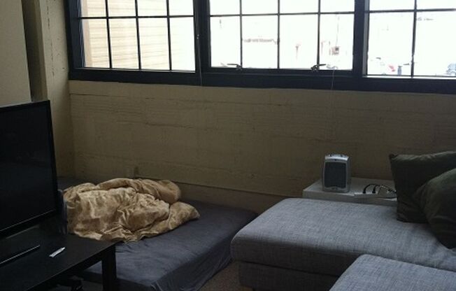 Studio, 1 bath, 436 sqft, $1,000, Unit 401