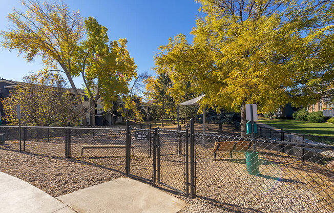 fenced in dog park