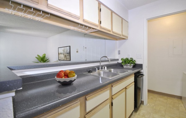 kitchen with ample storage space