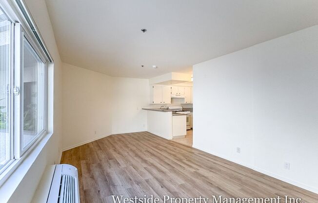 Studio, 1 bath, 350 sqft, $1,785, Unit 304