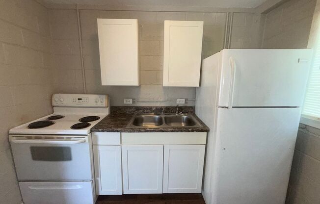 Affordable, Spacious, Newly Renovated 2 BR Apartment