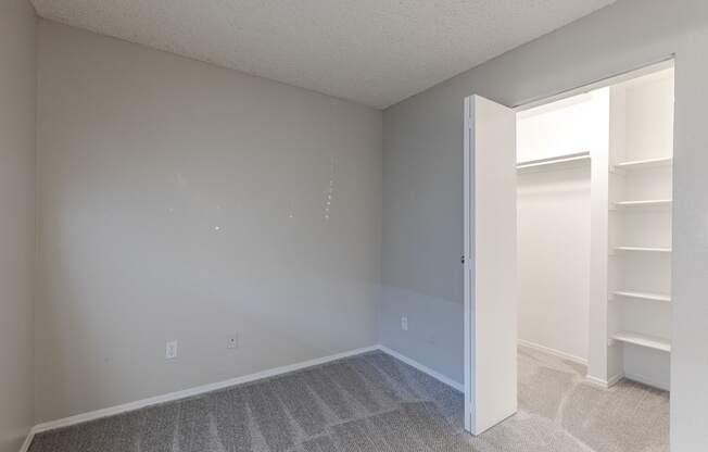 an empty bedroom with a closet and a mirrored closet door