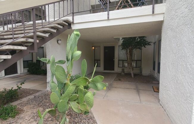 2 Bedroom condo -w/d- Old Town Scottsdale/ASU - 1st floor -