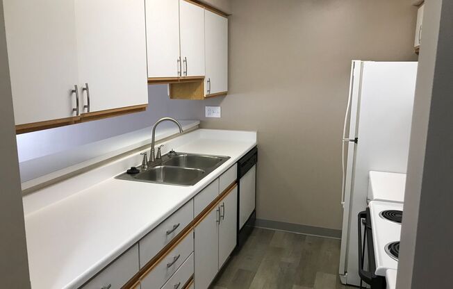 1 bed, 1 bath, 772 sqft, $1,059, Unit 1-304