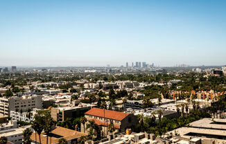 1 bed, 1 bath, 981 sqft, $3,250, Unit 101