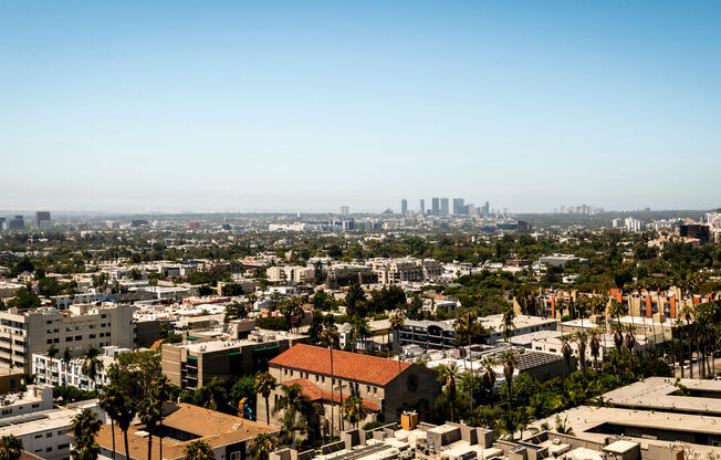 1 bed, 1 bath, 981 sqft, $3,250, Unit 101