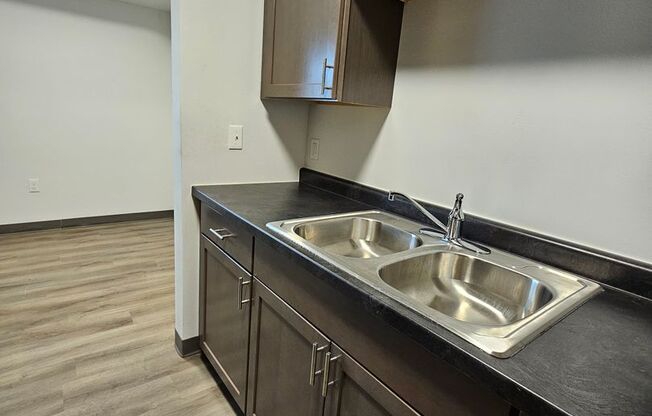 Studio, 1 bath, 450 sqft, $680, Unit 3709 N2
