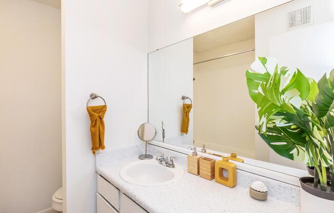 2 beds, 1 bath, 780 sqft, $999