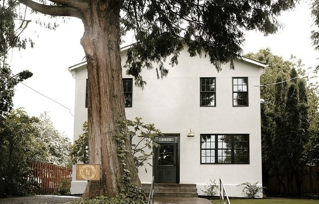 Darling Studio in Saint John's You Have GOT To See!