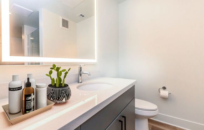 1 bed, 1 bath, 619 sqft, $1,699, Unit 462