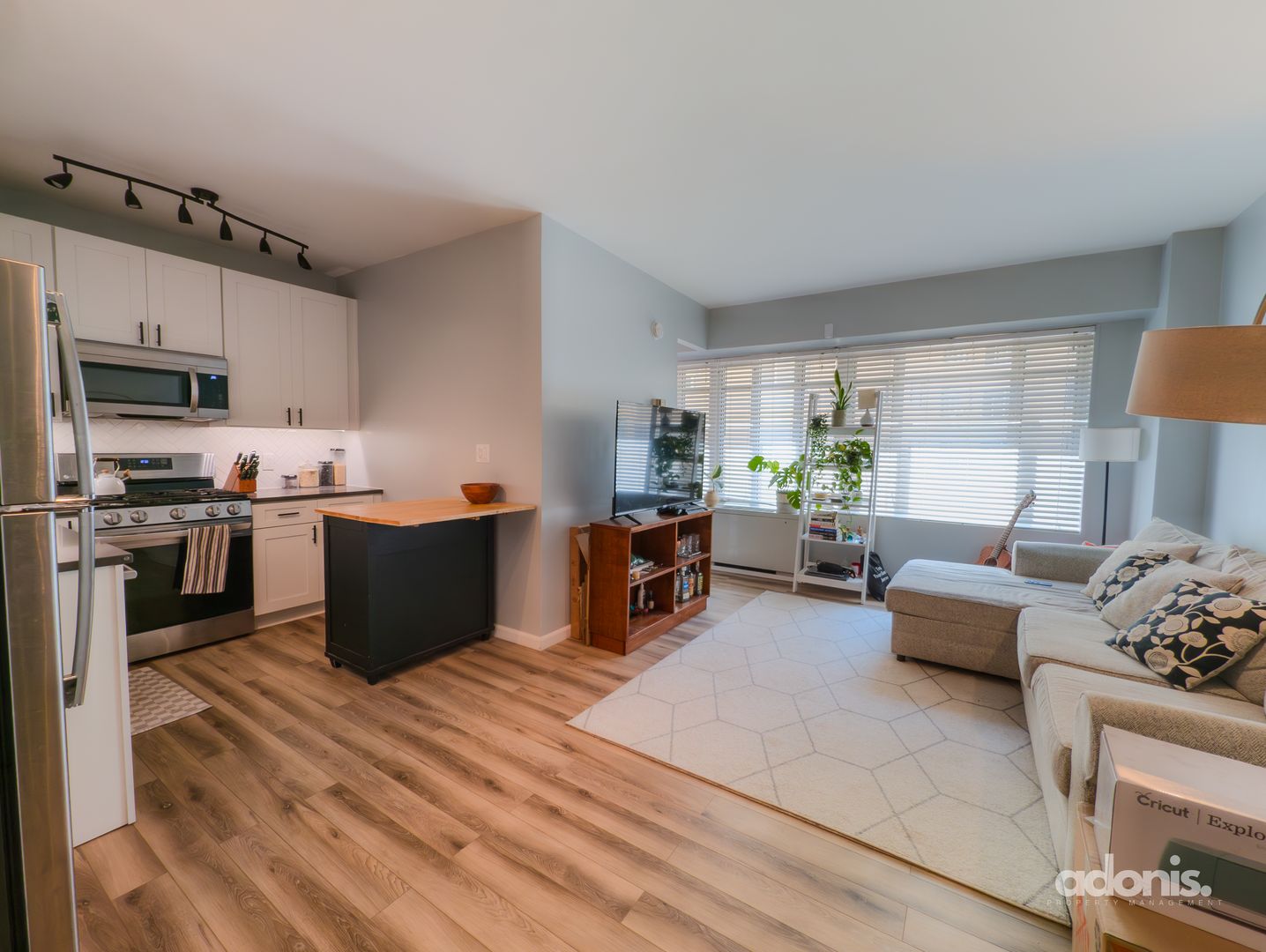 Modern, Light-Filled Junior 1BR in Prime Dupont Location