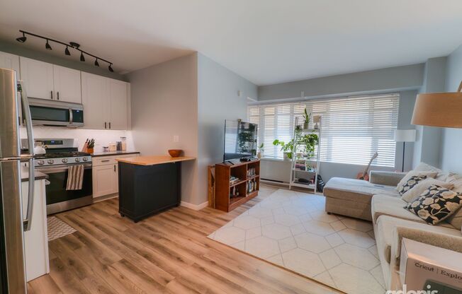 Modern, Light-Filled Junior 1BR in Prime Dupont Location