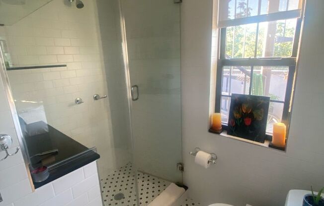 577 Madison Street, Duplex Penthouse 2 BR 2 BA