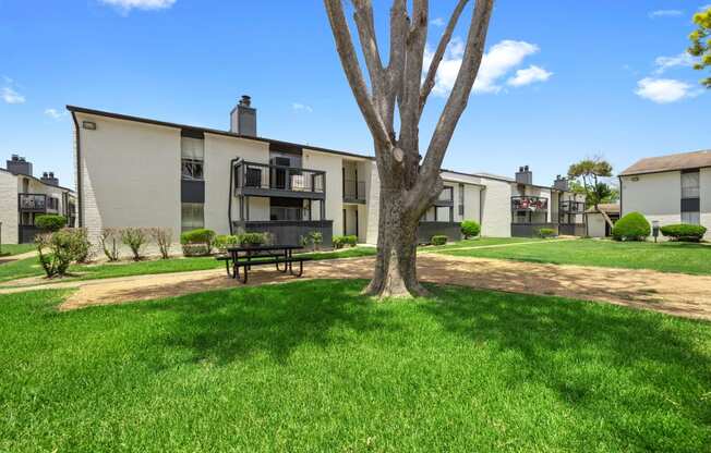 the preserve at ballantyne commons apartments courtyard with picnic table