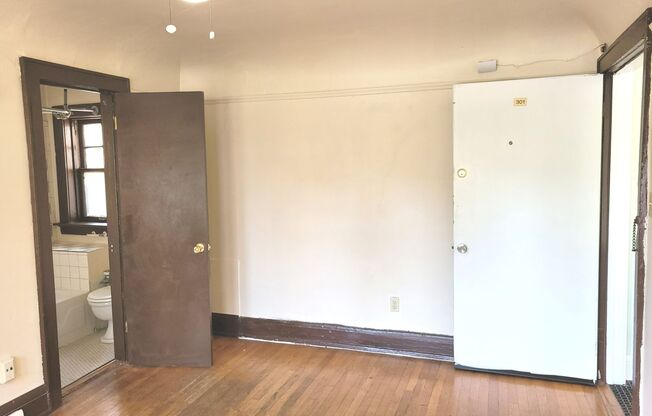 Studio, 1 bath, $725, Unit 301