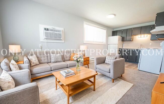 1 bed, 1 bath, 480 sqft, $920, Unit 207