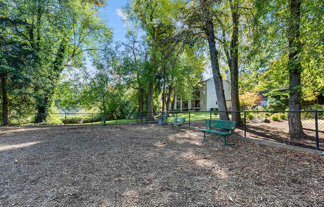 Dog park with surrounding trees