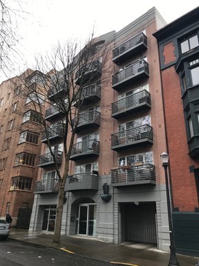 1 bed, 1 bath, 491 sqft, $1,250, Unit 203