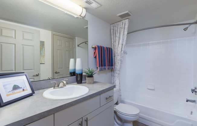 a bathroom with a sink toilet and bathtub