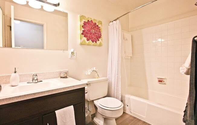 Renovated Bathroom at Middletown Valley, Middletown, Maryland