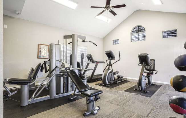 the gym with cardio equipment at the preserve at greatstone