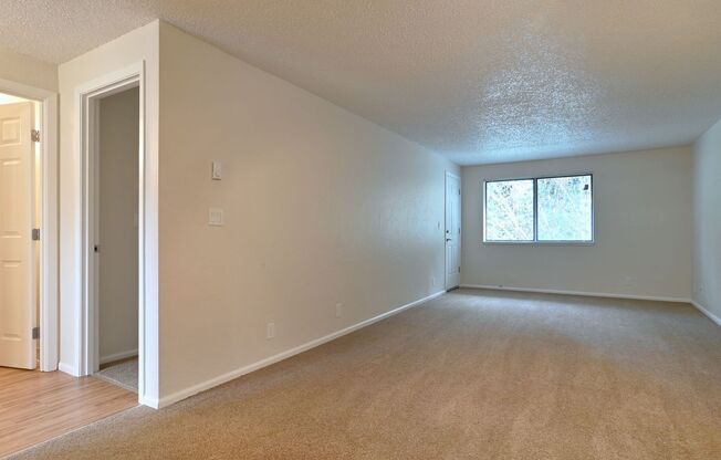 1 bed, 1 bath, 704 sqft, $1,430, Unit 0109